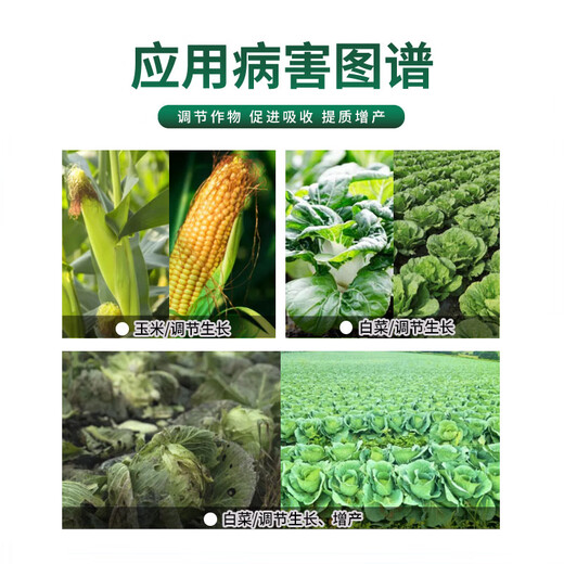 Guoguang Youlehong 8% amine fresh ester coloring increases root production, promotes cell division, preserves flowers and fruits, growth regulator 500ml