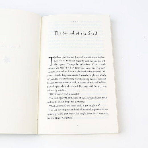 蝇王 英文原版 Lord of the Flies 苍蝇上帝 威廉戈尔丁 诺奖得主 经典文学名著 课外阅读 搭人鼠之间 弘书阁英语文库十大经典之一 蝇王