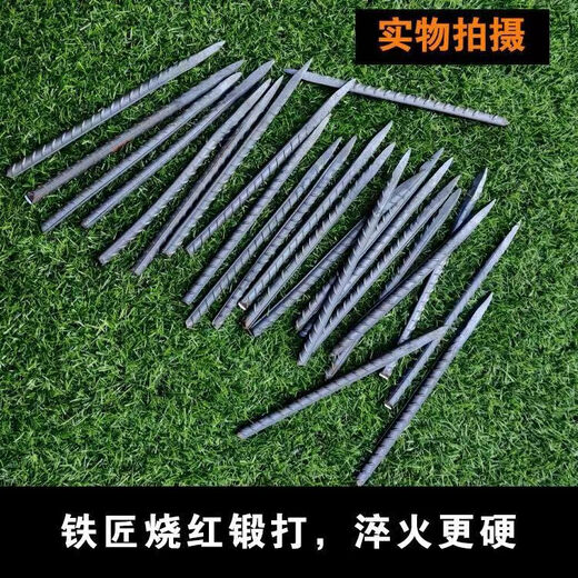 黛惑爬树钉钢筋钉一头钉建筑工地用地钉螺纹钢修路工程用錾子 螺纹钢1 螺纹钢12200mm10支装