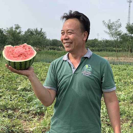 Zhongke Maohua melon and fruit seeds Zhongke Bingqilin watermelon seed improved 8424 Jingxin type replaces Meidu watermelon variety with crack resistance Zhongke Bingqilin 1000 capsules/box one acre package