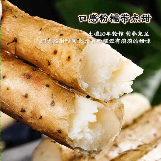 Jingxiansheng Jiaozuo Wenxian sandy soil iron rod pregnant yam Net weight 5Jin Jin is equal to 0.5kg 40-50cm fresh vegetables straight from the source