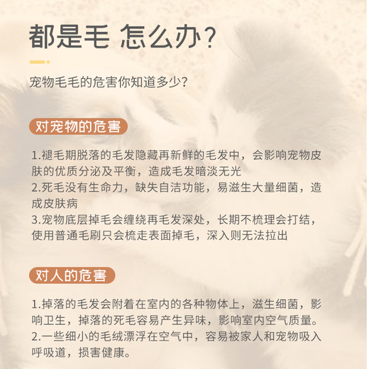 Pet Star Notes Pet Comb Stainless Steel Row Comb Dog Cat Beauty Single Row Density Comb Needle Comb Opening Comb Large Size 19*5cm