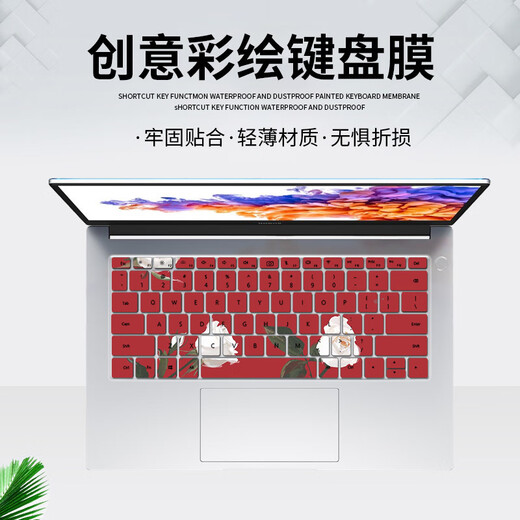 适用华为联想神舟华硕宏碁戴尔苹果笔记本定制彩绘键盘保护膜 SM826-拍下务必联系客服核对型号