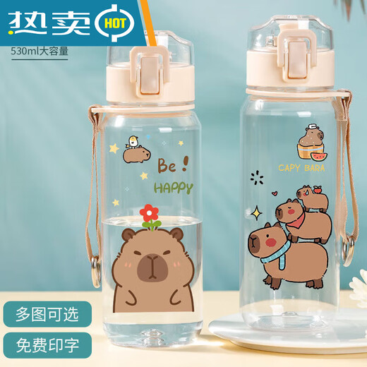 OUOETY水壶小水豚鼠水杯卡屁吧啦杯子学生便携夏季大容量 530mlR3271水豚塑料饮杯-