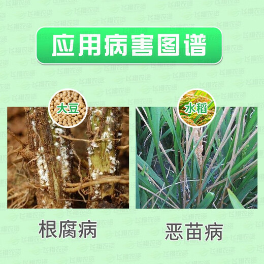 Liangdunjing metalaxyl, fludioxonil, rice, soybean root rot, bakanoid disease seed coating, pesticide and fungicide 100ml
