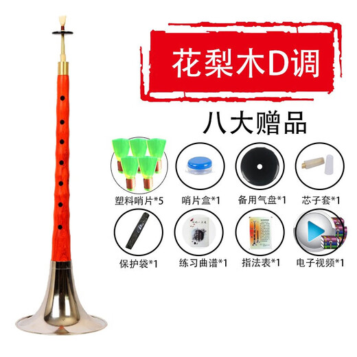 晗畅管艺 唢呐乐器全套演奏红木乌木杆初学者成人民间唢呐锁 C调 乌木白碗[十二种配件]