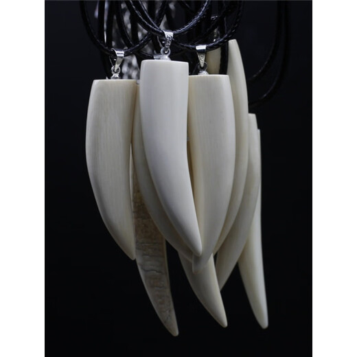 Snqp mammouth dents poinçon pendant collier pendentif femmes de tempérament simple gigantesque gise de pendentif gadin bellestie fidelity 3271 # spécifications environ 9 * 37 mm en vedette de produits fins