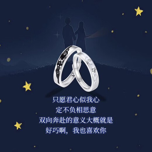 MZMZ platinum couple ring PT950 platinum adjustable pair of rings for engagement, proposal, Valentine's Day, birthday gift for girlfriend, light luxury model - pair of rings (no engraving)