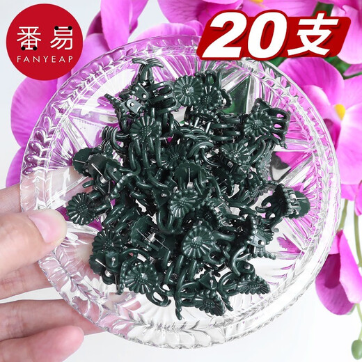 Support de plante Fanyi Support B1zo Flower Flower Flower Phalaenopsis Support Stand Modeling Support Vines et Fleurs Plante Plant Plant Support de fer [40 cm] 10 + 10 Clips fixes