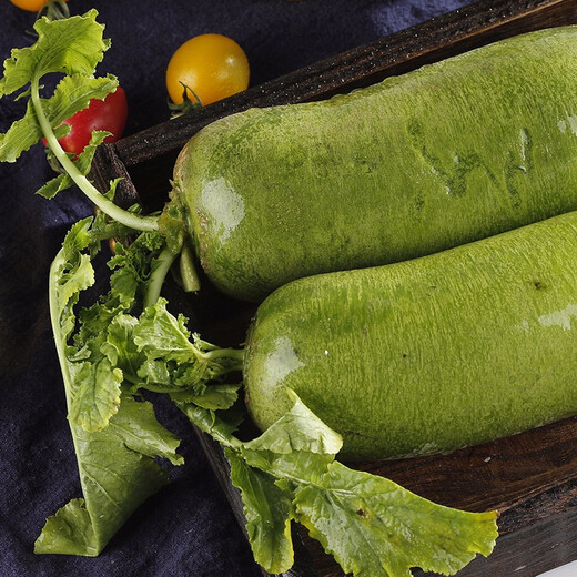 Shouhe radish seeds autumn sowing radish northern winter and spring fruit sowing vegetable seeds field planting seeds rapeseed Weifeng Feicuishawo radish seeds 20g