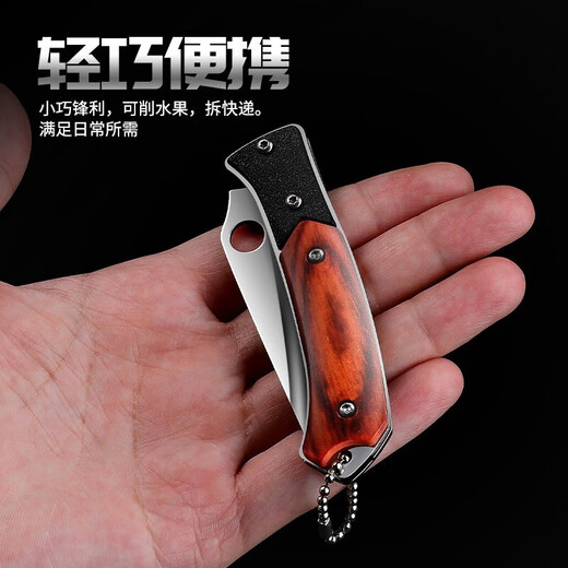 OPPEIN Folding Fruit Knife Household Knife Stainless Steel Sharp Fruit Knife Outdoor Hand Knife Multifunctional Portable Knife Hand Knife with Tail Ring