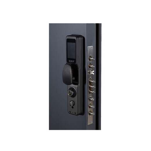 HELE DOORS HELE DOORS Дверь класса A - Легкая роскошная входная дверь Lejia в простом стиле с защитой от кражи, стальная дверь может быть изготовлена по индивидуальному заказу, одностворчатая 2050 * 960