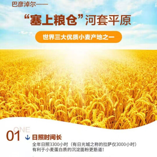 亿谷乐新国标1355-2021面粉10斤内蒙古特产无添加剂雪花粉饺子馒 新国标1355-2021雪花粉10斤