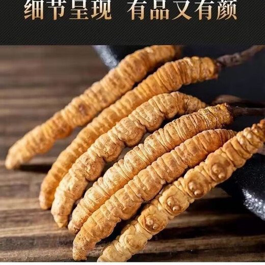 Authentische Cordyceps Geschenkbox Echte Trockenwaren Mid-Auto Festival Geschenk High-End-Geschenke für Älteste und Eltern Ernährungsprodukte Brown Handpack große Streifen von Cordyceps 50 Stück