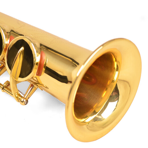 Golden Tone Saxophon Windinstrument Anfänger Übung professionelle Bewertungsband Performance Golden Jyss-E100