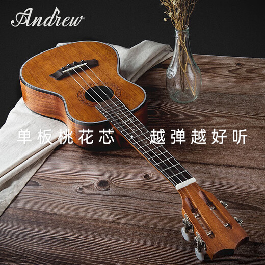 安德鲁（ANDREW）单板尤克里里初学者ukulele女男小吉他学生儿童礼物 爱莲说+全配件+加棉包 23英寸