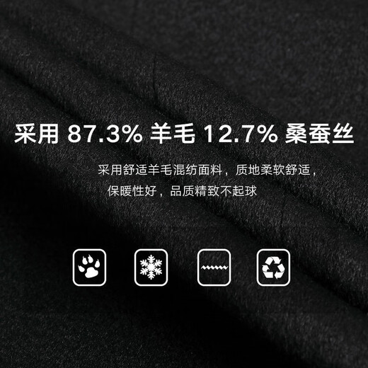 Fazeya恒源祥桑蚕丝中山装男士商务休闲羊毛呢外套中式立领西服男西装 黑色 175