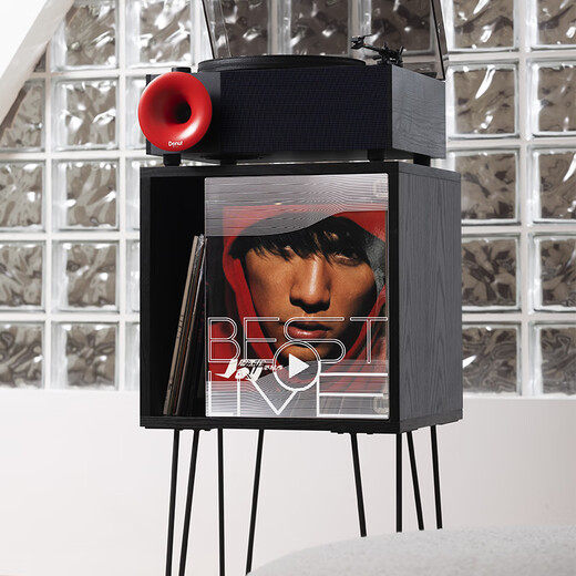 Fennessy Vinyl Record Cabinet Peripheral Base Speaker Bookcase LP Sofa Side Cabinet Living Room Bedroom Storage Cabinet Display Cabinet