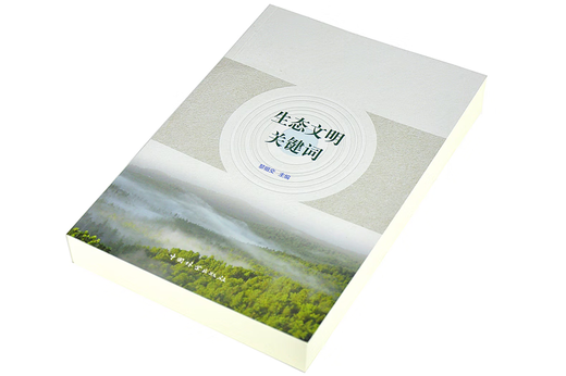 生态文明关键词 9276 系统结构 功能 生态环境 平衡 系统评估 景