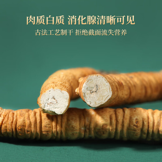 紫蓝花海100g 大号断草 冬虫夏草新干高品质断虫草送父母【健康礼盒】