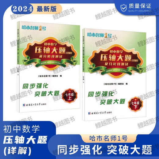 初中数学2627压轴大题详解六七八678年级五四54制哈尔滨市期中末 7年级【上册】 初中通用