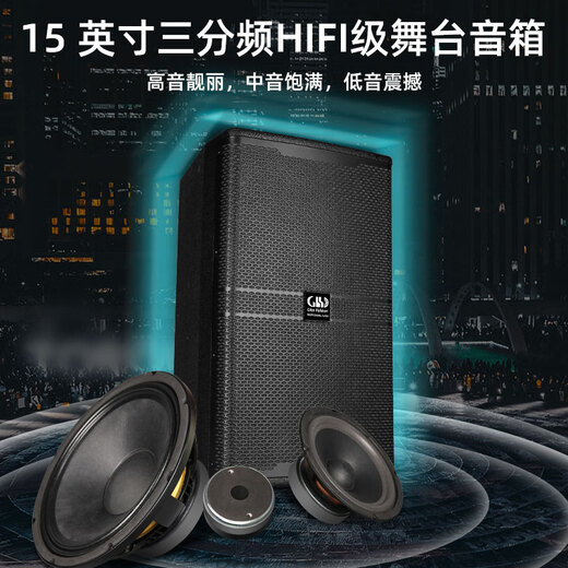 Glenston Professional 15-Zoll-12-Zoll-Drei-Minuten-Sprecher High-Middle-Bass 220 Magnetsprecher Passive HiFi-Fieber-Grade Heavy Bass Home Theatre KTV Home Conferening Hochzeit Audio K-1583 (15-Zoll-dreiminütige Version)/rechts