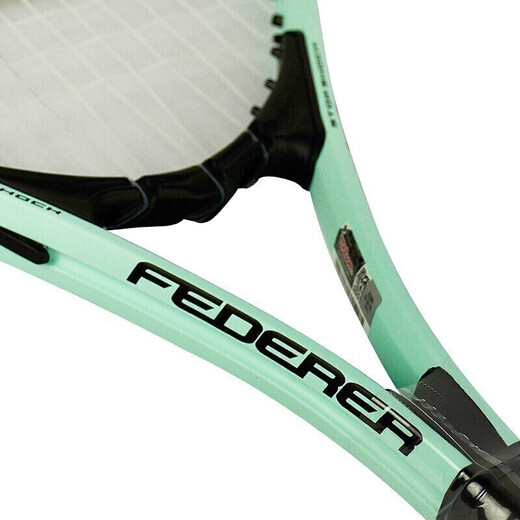 Wilson (Wilson) College-Studenten Anfänger Serie Fitness Big Patch Selbstvorteil mit Leitungsempfindlichkeit Aluminium-Legierungstraining Racket-Anfänger [Marca Green] 110 Patch 309G WR6172