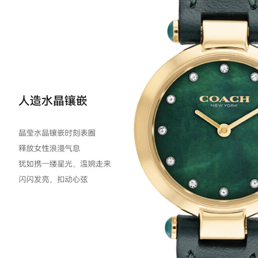 COACH CARY Series Belt Quartz Women's Watch 14503951 Recommended by Luo Yizhou New Year Gift/Gift Giving