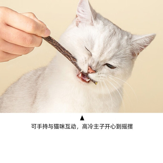 Huanpet.com Cat Teething Stick Cat Toy Funny Cat Stick Mu Tian Polygonum Teething Cat Mint Ball Self-Happiness Artifact to Relieve Boredom Cats and Kittens