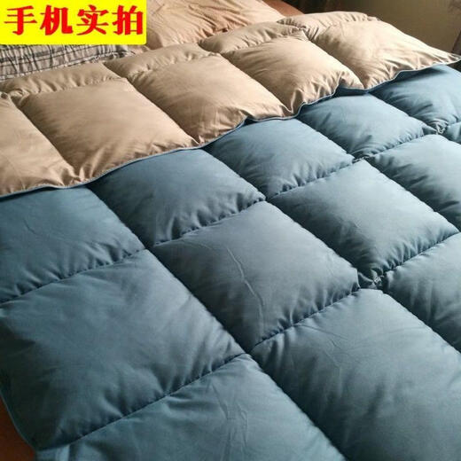 羽绒被95白鹅绒被子被芯春秋被双人加厚保暖冬被单人宿舍棉 羽绒被蓝+灰 180X220cm10斤