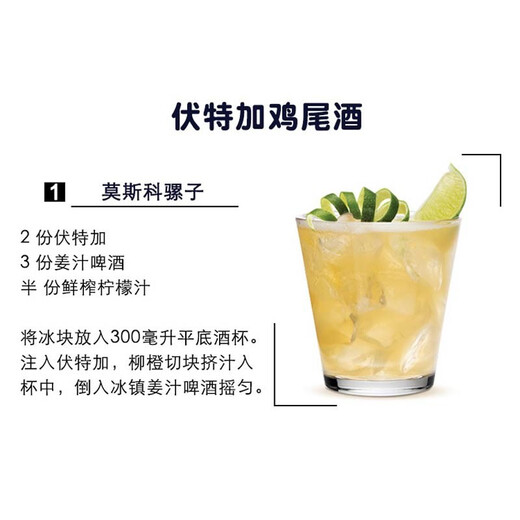 Aobeck Tequila DIY Cocktail Set Whisky Wodka Brandy Gin Rum Wein Kombination Sechs Basiswein Fortgeschrittene 6 Flaschen