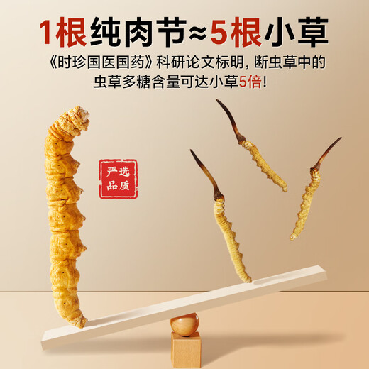 秦仁堂 冬虫夏草断虫草高品质洁净饱满 滋补品养生送礼长辈实用佳品虫草 全虫断草 5克装【自用推荐】