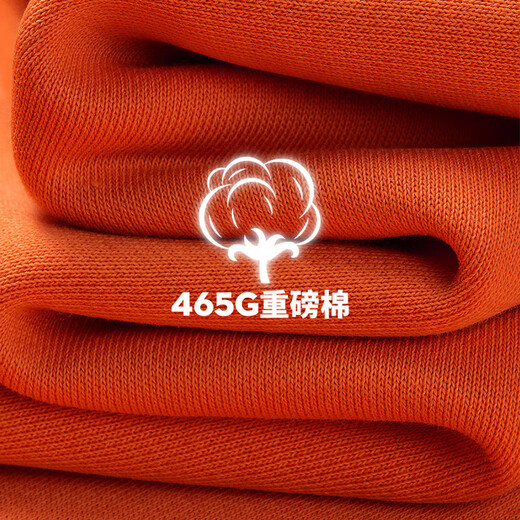 Jeanswest sweatshirt men's winter velvet thickened warm lambswool jacket men's round neck tops simple and versatile couple wear 500G lambswool burgundy thickened L (175) (Priority for collection and purchase)