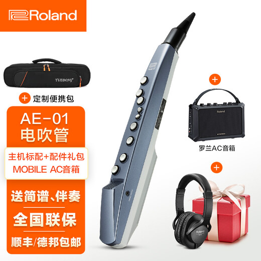 罗兰（Roland）ae01电吹管电萨克斯自带音源民族音色ae05c初学入门电子管乐 罗兰AE01电吹管标配+AC音箱+礼包