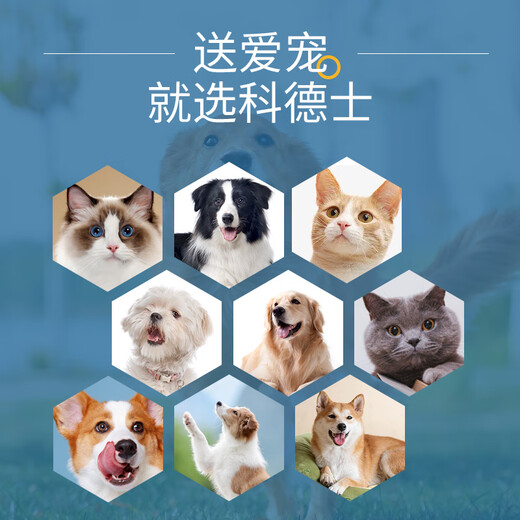 Codos Pet Shaver Dog Hair Clipper Electric Clipper Cat Hair Clipper Large and Small Dog Supplies 9200 Package 5 Standard + 6.3mm Blade