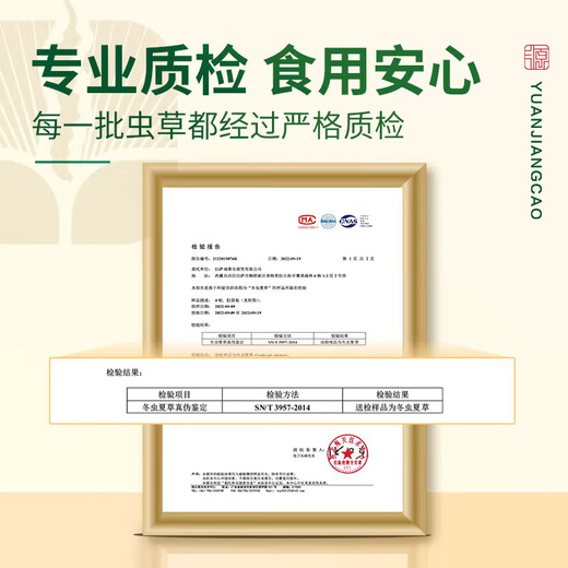 源江草冬虫夏草断虫草甄选断草 实惠装 老年人营养品自食用送礼 纯肉节50克