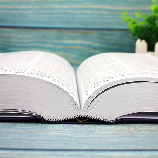 【商务印书馆国际】新英汉汉英词典（修订版）