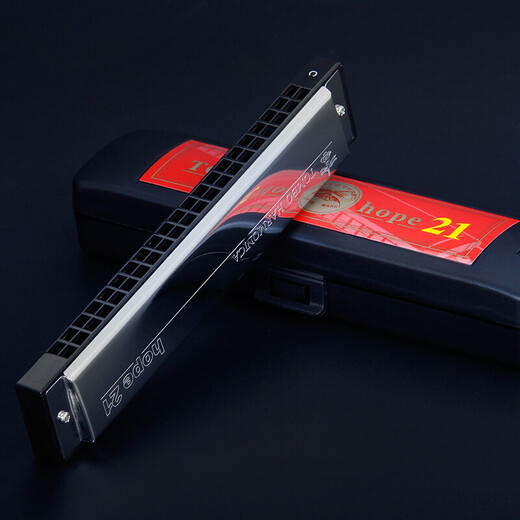 TOMBO通宝6624P纯音口琴hope24孔复音套装演奏A B C D E F G 单音口琴 24孔 G调