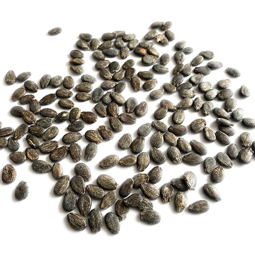 Zhongke Maohua Fruit and Vegetable Seeds Unparalleled Sweet King Watermelon Seeds High Round Big Red Flesh Watermelon Seeds Planted in Myanmar Base Unrivaled Sweet King 50 capsules/bag Trial Planting Pack