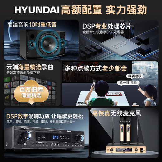 Hyundai Modernes Heimkino-Gesangsmaschine KTV Audio Set High-Power-Verstärker Karaoke Home Singing Equipment Wohnzimmer Konferenzraumkartenpaket Lautsprecher [Professionelle Version] 10-Zoll-Audio-Gesangsmaschine + 10-Zoll-Subwoofer