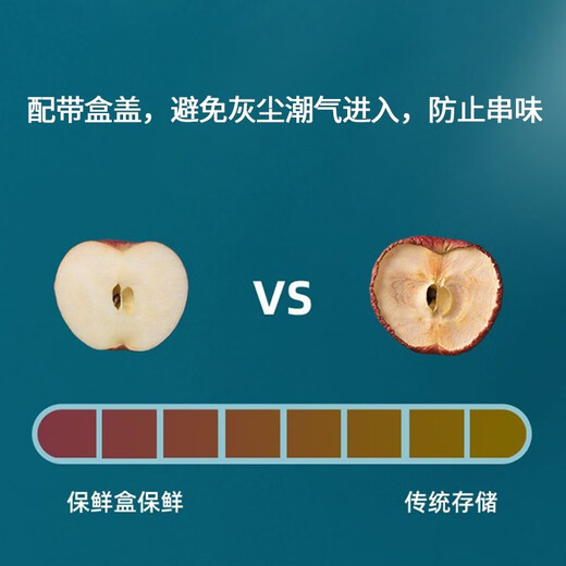 Camellia Refrigerator Fresh Box Travel Picnic Box Lunch Box Dumpling Freezer Box Sealed Box Lunch Box Storage Box 6-piece Set