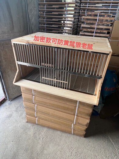 赛鸽巢箱鸽窝孵化养殖配对繁殖笼鸽子抱窝实木不绣钢配对信鸽笼子 加密配踏板83cm长50cm宽47cm高一个288