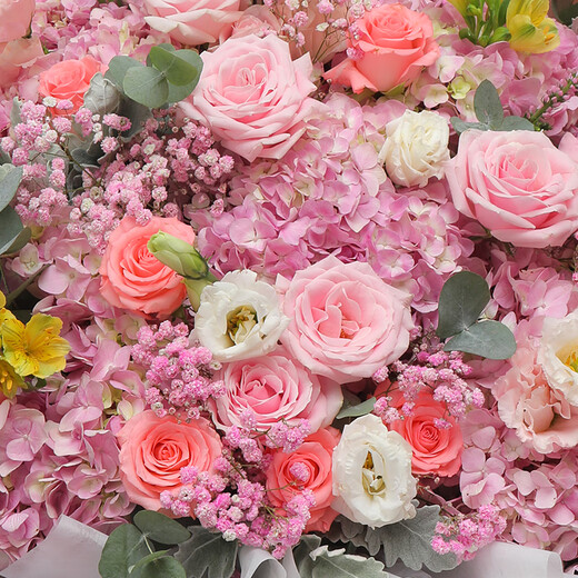 Airi flowers local express delivery giant bouquets of roses, birthday flowers, date flowers for girlfriends, gifts for besties, two-color pink roses and hydrangea mix and match large bouquets