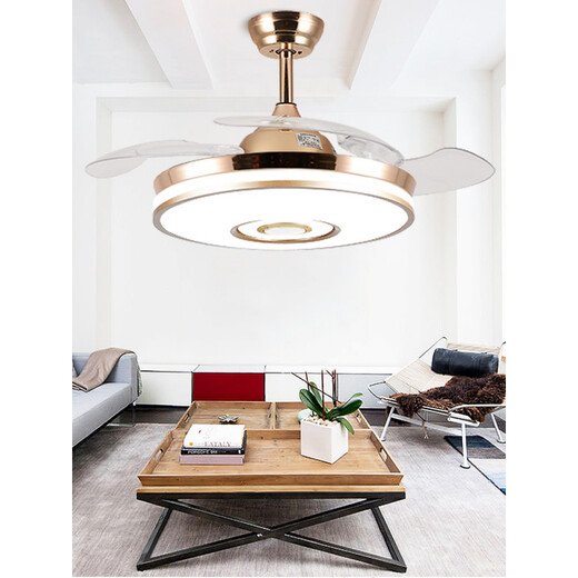 2022 new Shule invisible ceiling fan light Bluetooth music audio ceiling fan light integrated invisible fan light restaurant p 9909 silver 48-inch light change + remote control (without sound
