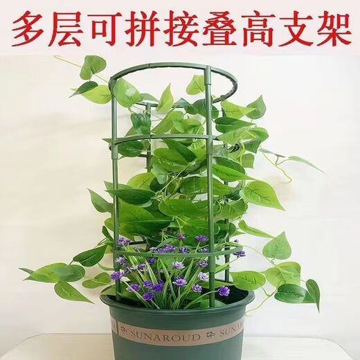 勤凯花架子室内家用支架通用型蟹爪兰花架莲花护叶架园艺盆栽支撑杆AS 【升级加粗+植物通用】 拍一发十【60根】到手十层