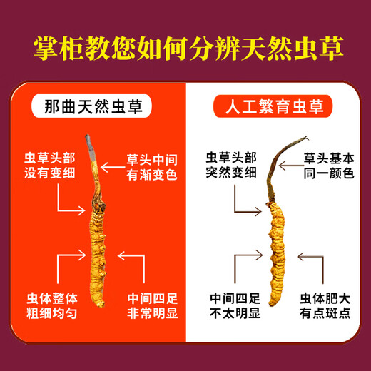 东仔【西藏那曲】野生冬虫夏草高海拔野生虫草断草滋补品礼盒送长辈 【西藏那曲野生】大号断草-全家滋补 20克（礼盒装）