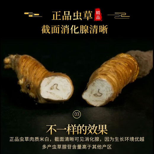 雄风道藏区雪域冬虫夏草4根/克（规格）正宗虫草高海拔 送礼佳品 4根/克(规格) 40根礼盒装