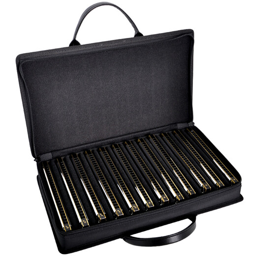 Tombo Japan Tombo 24-Loch Polyphonic Harmonica Set 6624 Performance Recording 6624s Einstiegs-Level Advanced Performance 24-Loch 6624S [polyphonisches High-End-Leistungsniveau] 7 Sets