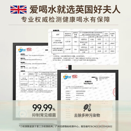 Taste of Life Good Lady British Good Lady Desktop Instant Hot Water Dispenser Filter Water Purifier Household Pure Drinking Machine Heating All-in-One Desktop Instant Hot Water Dispenser Small Mini Quick-Heat Portable Dual Display 3 Liter White Antibacterial + Mineral Filter + Stand Instant Heat Type