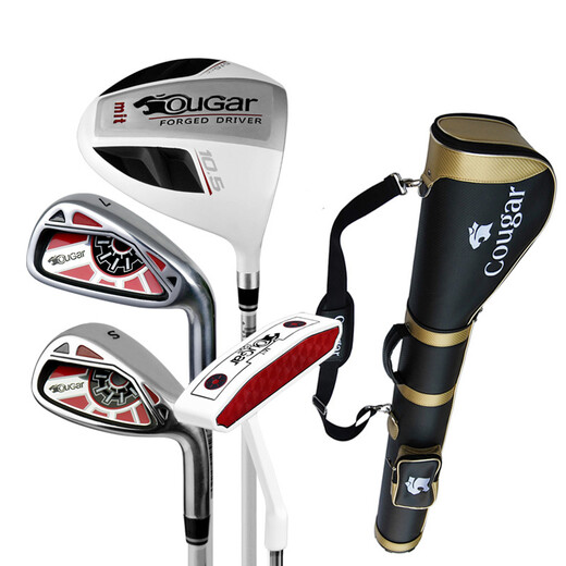 OuGar Golf Club Men's and Women's Golf Practice Half Set Beginner's Club Beginner's Club Carbon R Men's 4 PCs Carbon Shaft + Gun Bag